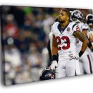 Arian Foster Houston Texans Sport WALL  20x16 inch FRAMED CANVAS PRINT