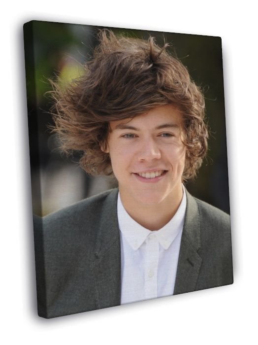 Harry Styles Smile Portrait Pop Singer Music  20x16 inch FRAMED CANVAS WALL PRINT