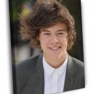 Harry Styles Smile Portrait Pop Singer Music  20x16 inch FRAMED CANVAS WALL PRINT