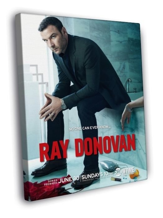 Liev Schreiber Ray Donovan Actor Tv Series WALL  20x16 inch FRAMED CANVAS PRINT
