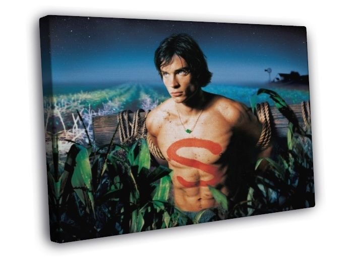 Smallville Tom Welling Clark Kent Movie WALL  20x16 inch FRAMED CANVAS PRINT