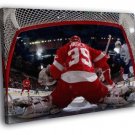 Dominik Hasek Goaltender Hockey Sport WALL  20x16 inch FRAMED CANVAS PRINT