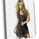 Shakira Hot Dress Pop Singer Music Rare WALL  20x16 inch FRAMED CANVAS PRINT