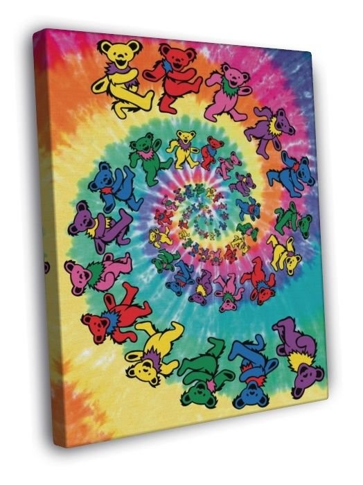 Grateful Dead Cover Bear Rock Band Music  20x16 inch FRAMED CANVAS WALL PRINT
