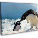 Penguin Antarctica Toy Cute Nature  20x16 inch FRAMED CANVAS WALL PRINT
