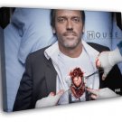 Hugh Laurie TV Series  20x16 inch FRAMED CANVAS WALL PRINT