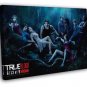 True Blood Cast Characters TV Series 20x16 inch FRAMED CANVAS WALL PRINT