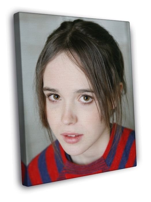 Ellen Page Cute Portrait Beautiful Actress  20x16 inch FRAMED CANVAS WALL PRINT
