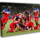 Team Players USA FIFA World Cup Soccer Football  20x16 inch FRAMED CANVAS WALL PRINT