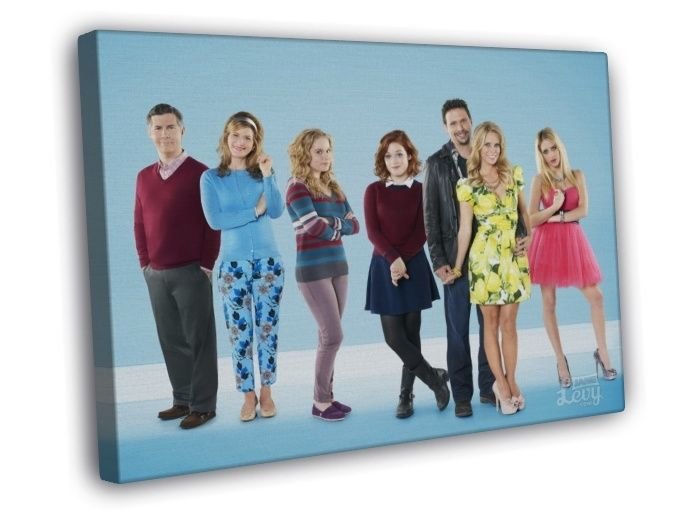 Suburgatory Characters Cast Tv Series WALL  20x16 inch FRAMED CANVAS PRINT