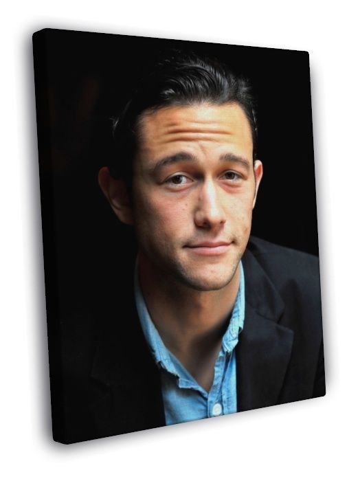 Joseph Gordon-Levitt Portrait Hot Charming Handsome WALL  20x16 inch FRAMED CANVAS PRINT