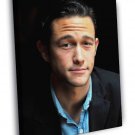 Joseph Gordon-Levitt Portrait Hot Charming Handsome WALL  20x16 inch FRAMED CANVAS PRINT