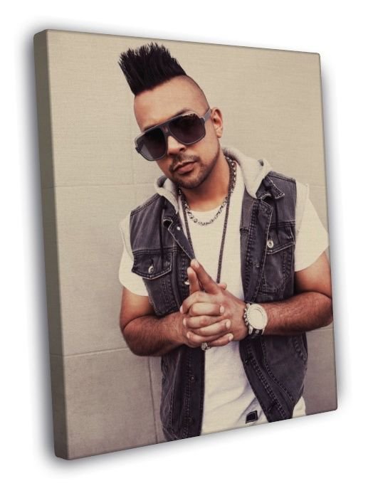 Sean Paul Reggae R&B Hip-Hop Music WALL  20x16 inch FRAMED CANVAS PRINT