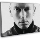 Eminem Portrait Face Rap Art Hip-Hop 2014 WALL  20x16 inch FRAMED CANVAS PRINT