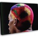 Dennis Rodman Hair Colors Chicago Bulls Retro Sport  20x16 inch FRAMED CANVAS WALL PRINT