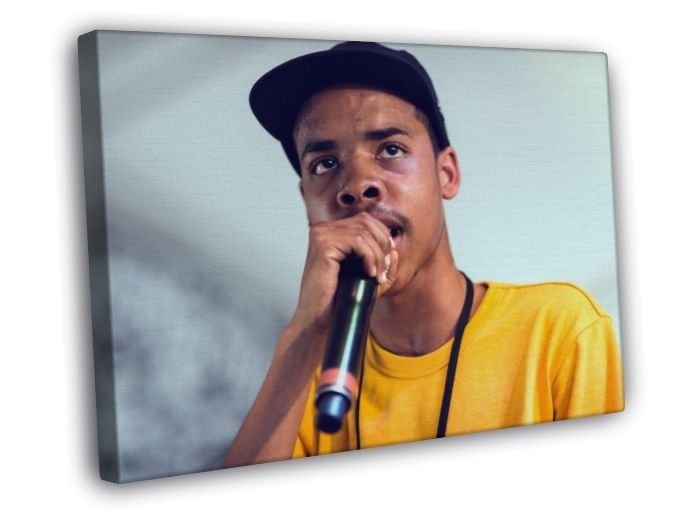 Earl Sweatshirt Microphone Rapper Hip-Hop Rap Music  20x16 inch FRAMED CANVAS WALL PRINT