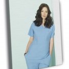Grey's Anatomy Lexie Grey Chyler Leigh Tv Series  20x16 inch FRAMED CANVAS WALL PRINT