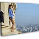 Maggie Grace Taken 2 Movie Hot Actress  20x16 inch FRAMED CANVAS WALL PRINT