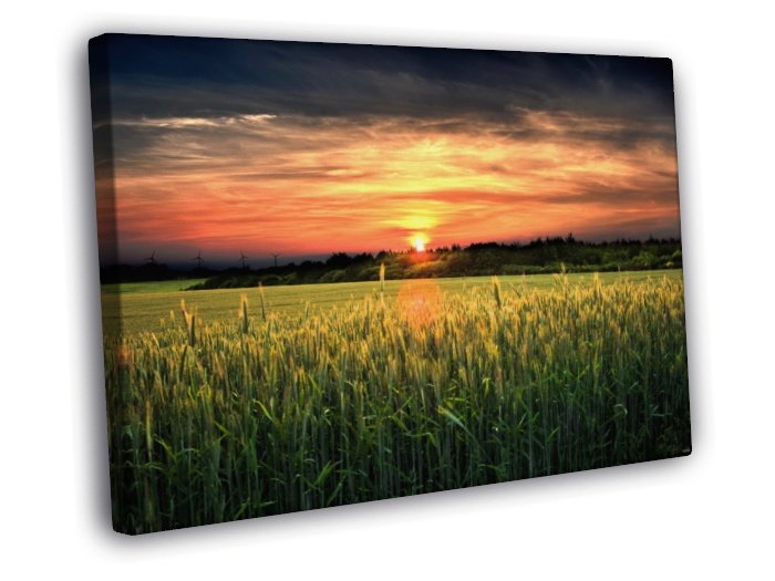 Amazing Field Sunset Dusk Beautiful Nature  20x16 inch FRAMED CANVAS WALL PRINT