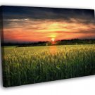 Amazing Field Sunset Dusk Beautiful Nature  20x16 inch FRAMED CANVAS WALL PRINT