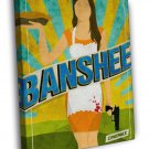Banshee Awesome Painting Art TV  20x16 inch FRAMED CANVAS WALL PRINT