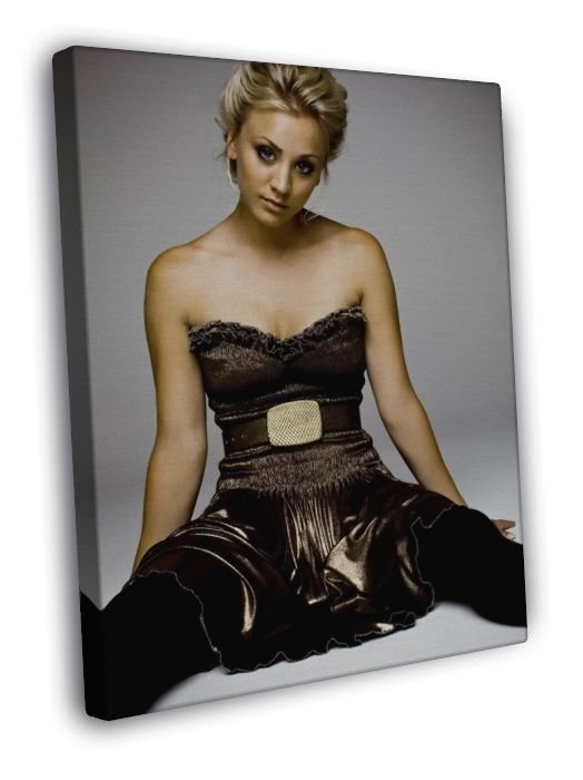 Kaley Cuoco Beautiful Cute  20x16 inch FRAMED CANVAS WALL PRINT