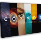 Cosmos A SpaceTime Odyssey Tv Series  20x16 inch FRAMED CANVAS WALL PRINT