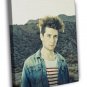 Bastille Dan Smith Indie Rock Music Band  20x16 inch FRAMED CANVAS WALL PRINT