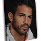 Cesc Fabregas Portrait Spain Football Soccer Sport  20x16 inch FRAMED CANVAS WALL PRINT