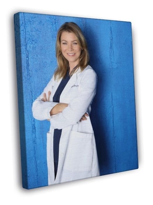 Grey's Anatomy Meredith Grey Ellen Pompeo Tv Series  20x16 inch FRAMED CANVAS WALL PRINT