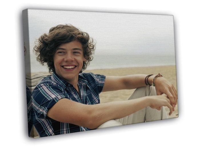 Harry Styles One Direction 1D Band Music  20x16 inch FRAMED CANVAS WALL PRINT