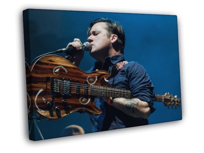Modest Mouse Isaac Brock Indie Rock Band Music  20x16 inch FRAMED CANVAS WALL PRINT