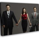 The Good Wife TV Series  20x16 inch FRAMED CANVAS WALL PRINT