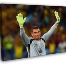 Faryd Mondragon Tears Colombia FIFA World Cup Brazil  20x16 inch FRAMED CANVAS WALL PRINT