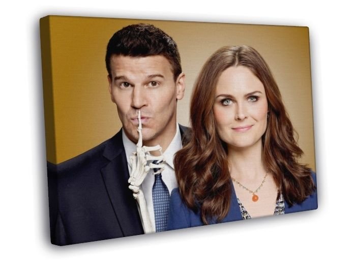 Bones Emily Deschanel David Boreanaz TV Series  20x16 inch FRAMED CANVAS WALL PRINT