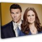 Bones Emily Deschanel David Boreanaz TV Series  20x16 inch FRAMED CANVAS WALL PRINT