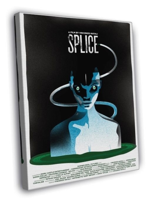 Splice 2009 Sci-Fi Movie Cool Art Artwork  20x16 inch FRAMED CANVAS WALL PRINT