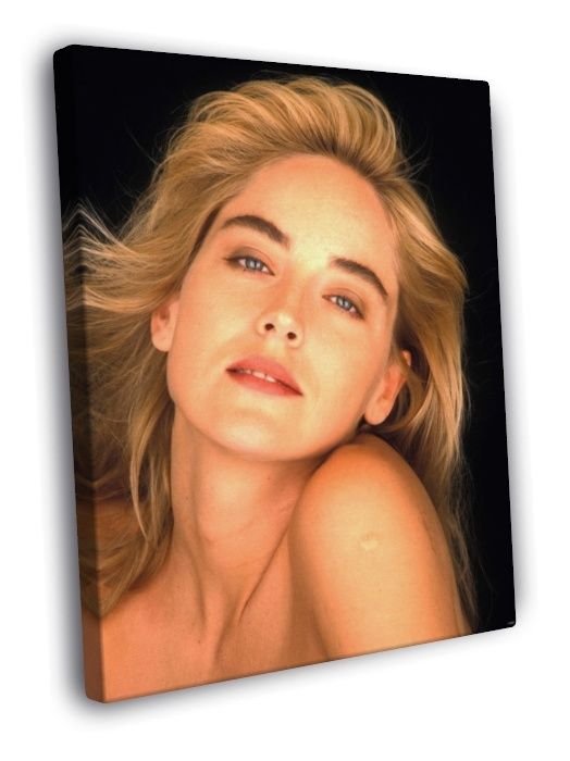 Sharon Stone Beautiful Portrait Retro Vintage  20x16 inch FRAMED CANVAS WALL PRINT