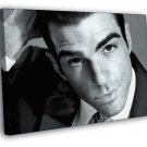 Zachary Quinto Beautiful Portrait Actor BW  20x16 inch FRAMED CANVAS WALL PRINT