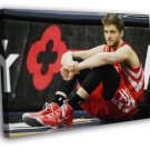 Chandler Parsons Houston Rockets Basketball WALL  20x16 inch FRAMED CANVAS PRINT