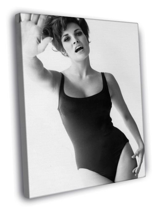 Raquel Welch Hot Old Retro Vintage BW  20x16 inch FRAMED CANVAS WALL PRINT