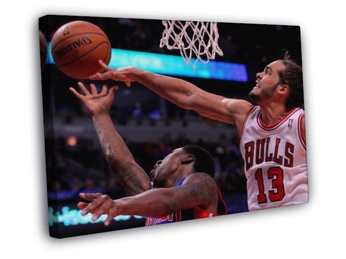 Joakim Noah Chicago Bulls Block Basketball Sport  20x16 inch FRAMED CANVAS WALL PRINT