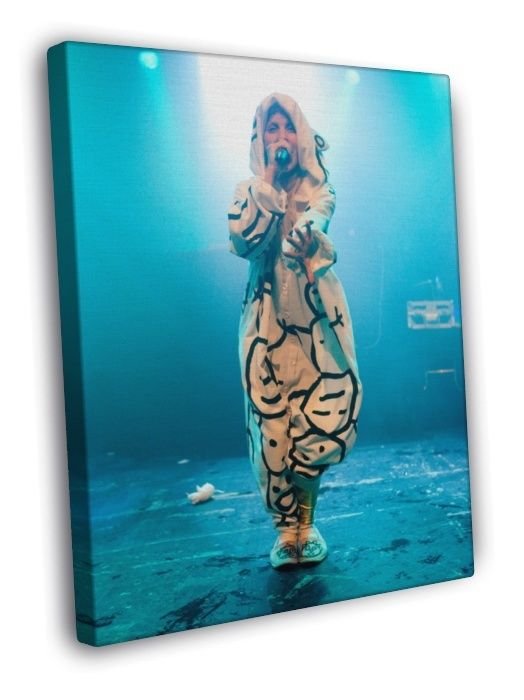 Yo-Landi Vi$$er Stage Die Band Yolandi Visser Music  20x16 inch FRAMED CANVAS WALL PRINT