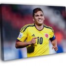 Alexander Mejia Colombia Portrait FIFA World Cup  20x16 inch FRAMED CANVAS WALL PRINT