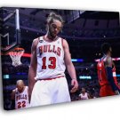Joakim Noah Chicago Bulls Basketball  20x16 inch FRAMED CANVAS WALL PRINT