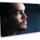 Joakim Noah Chicago Bulls Portrait Basketball  20x16 inch FRAMED CANVAS WALL PRINT