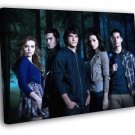 Teen Wolf Characters Cast Tv Series  20x16 inch FRAMED CANVAS WALL PRINT