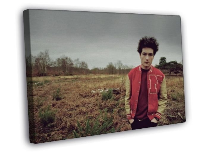 Bastille Dan Smith Indie Rock Music  20x16 inch FRAMED CANVAS WALL PRINT