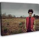 Bastille Dan Smith Indie Rock Music  20x16 inch FRAMED CANVAS WALL PRINT