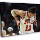 Joakim Noah Chicago Bulls Basketball Sport  20x16 inch FRAMED CANVAS WALL PRINT